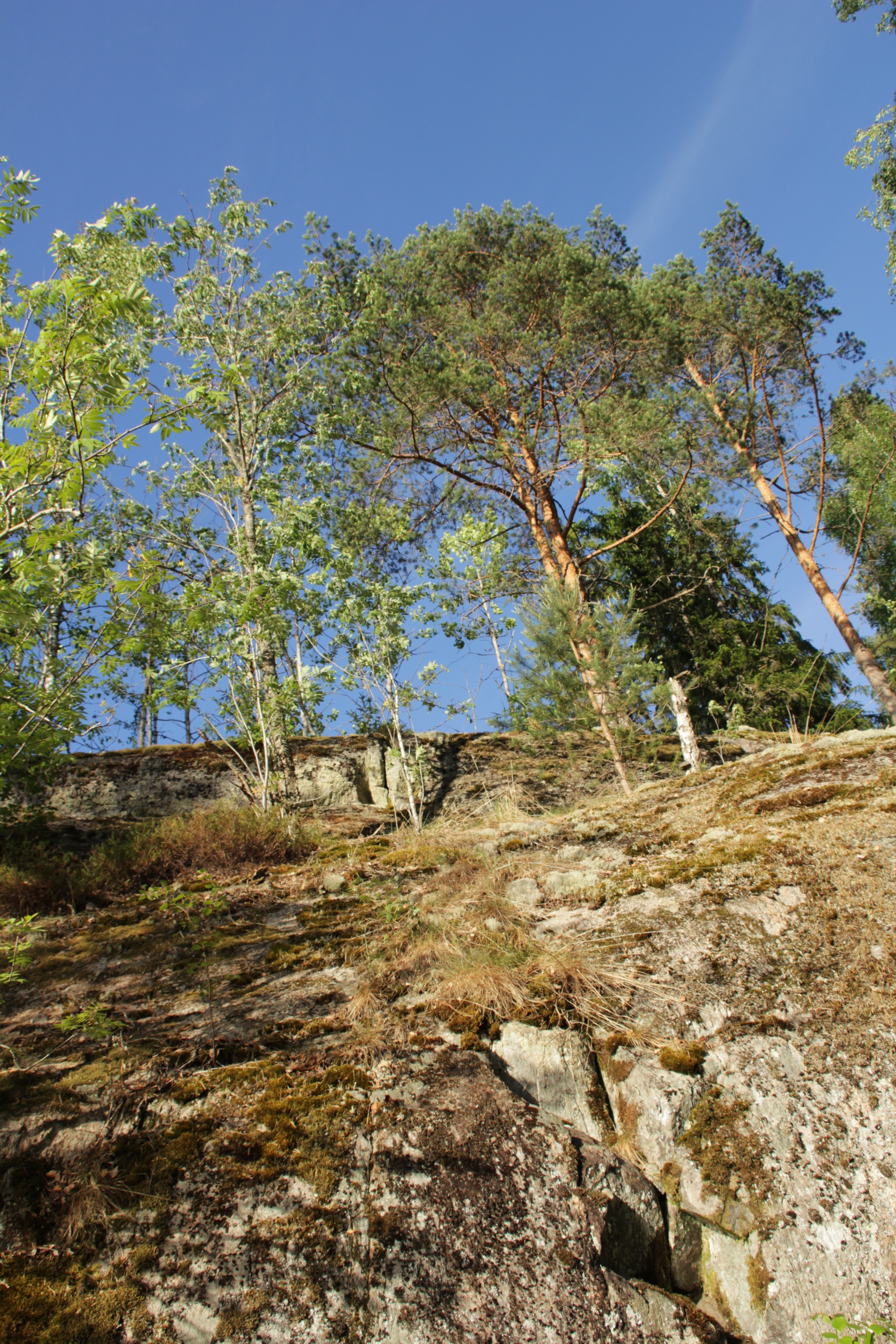 IMG_7970.JPG