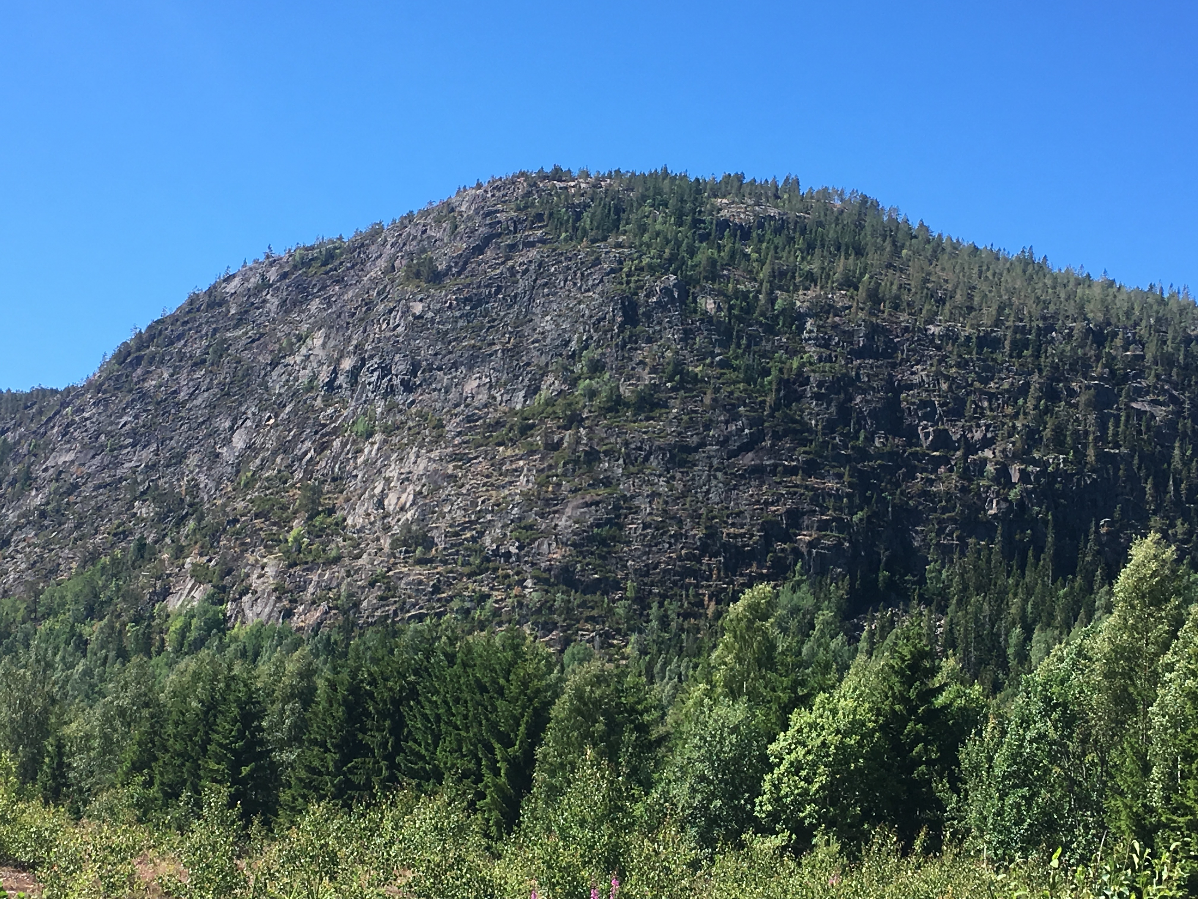 Kesk-Rootsi mäed