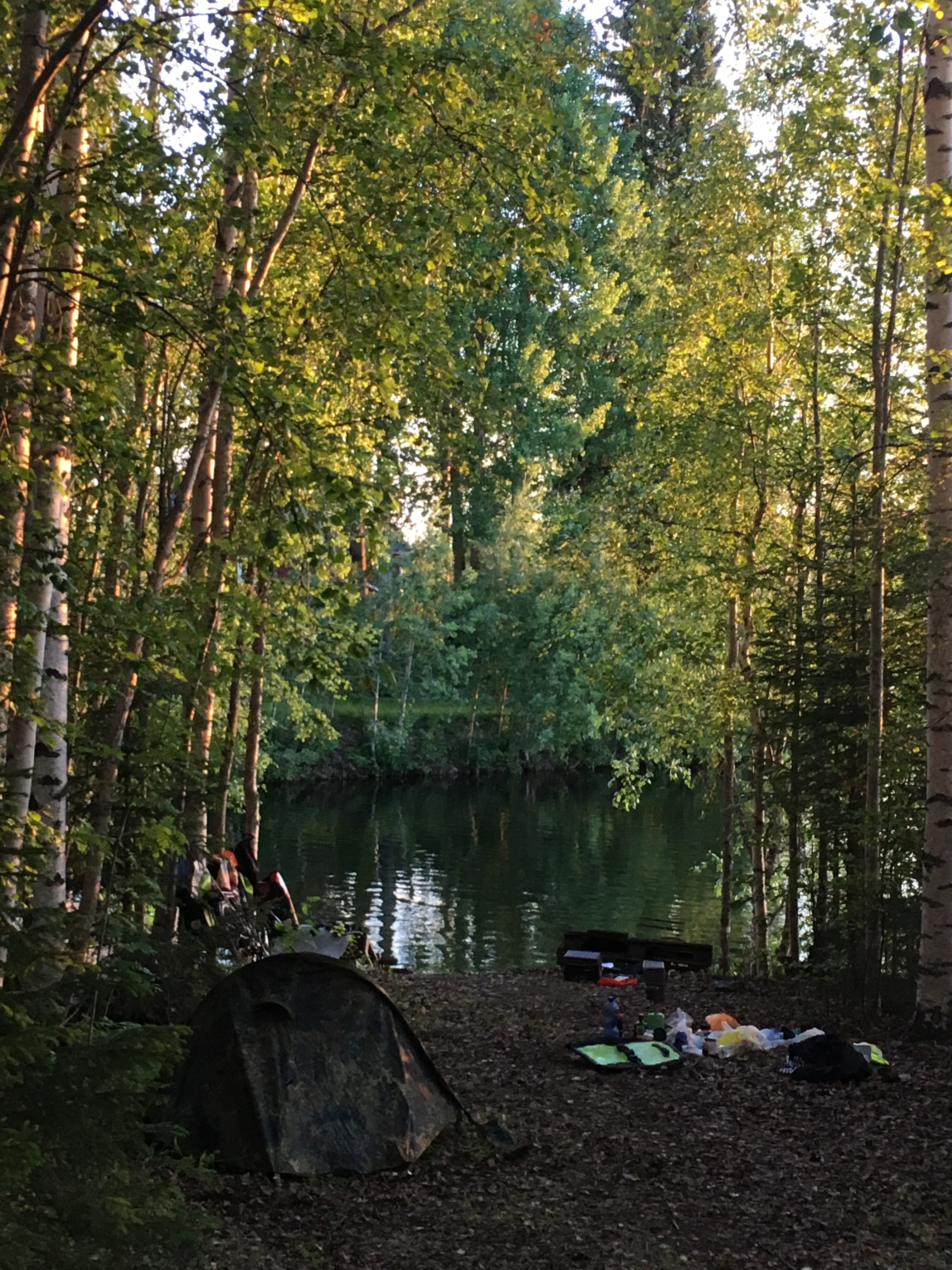 Ã¶Ã¶maja-kaskede-all-rootsi.JPG