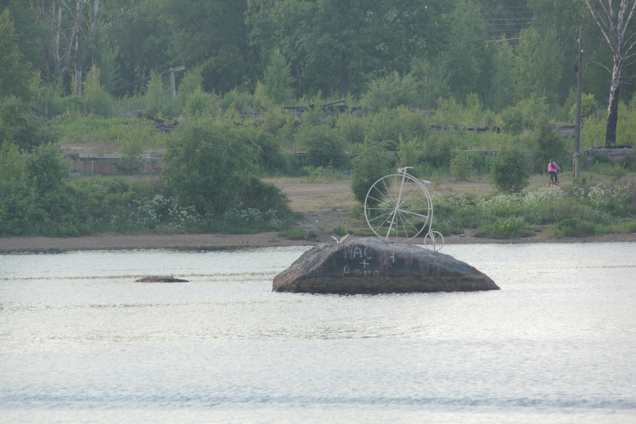 ratas-vees-viiburi.jpg